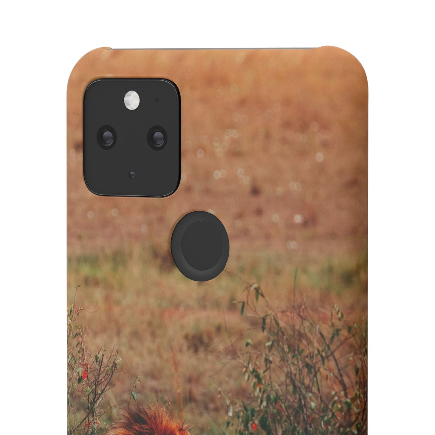 Majestic Lion Cajasol - Nature Inspired