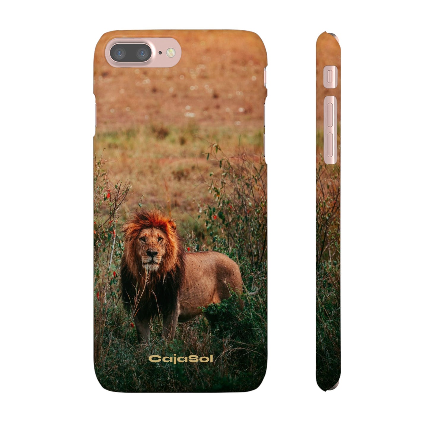 Majestic Lion Cajasol - Nature Inspired