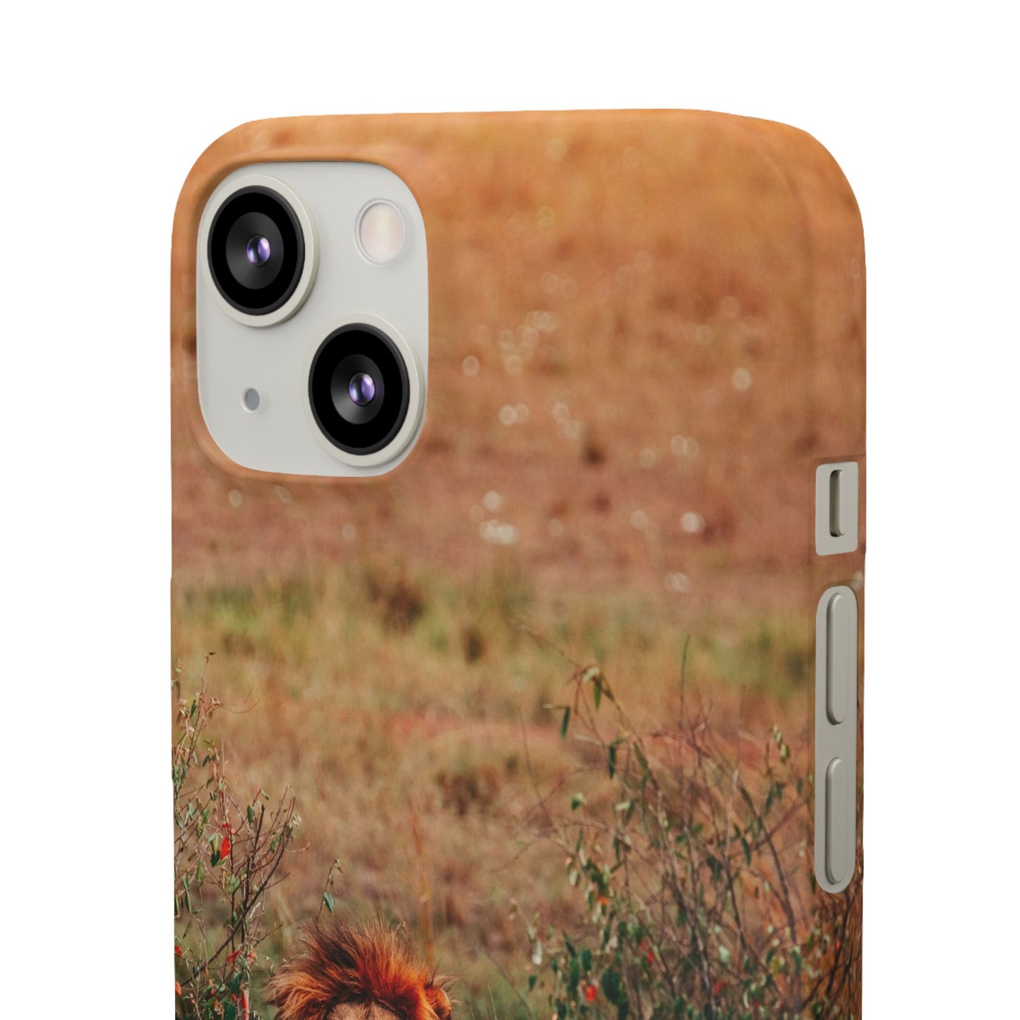 Majestic Lion Cajasol - Nature Inspired