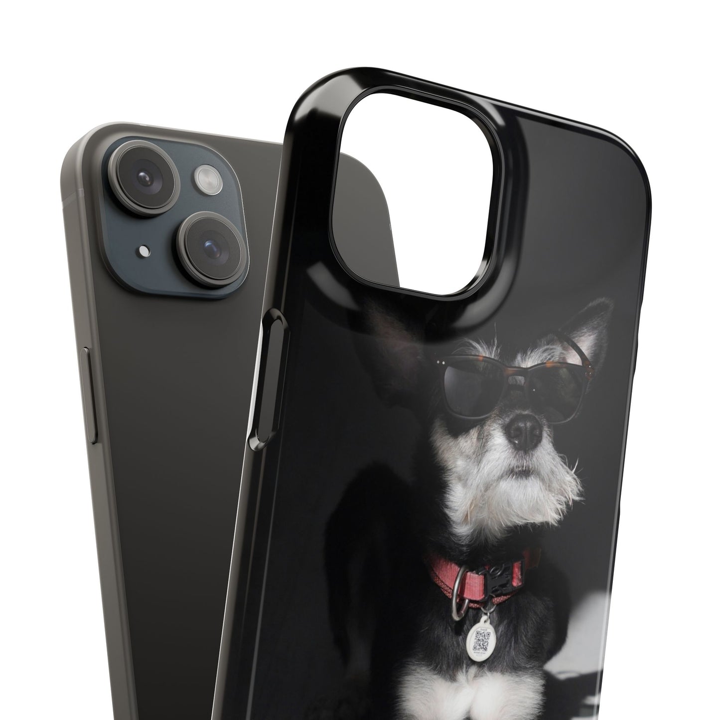 Cool Dog Cajasol - Stylish Pet