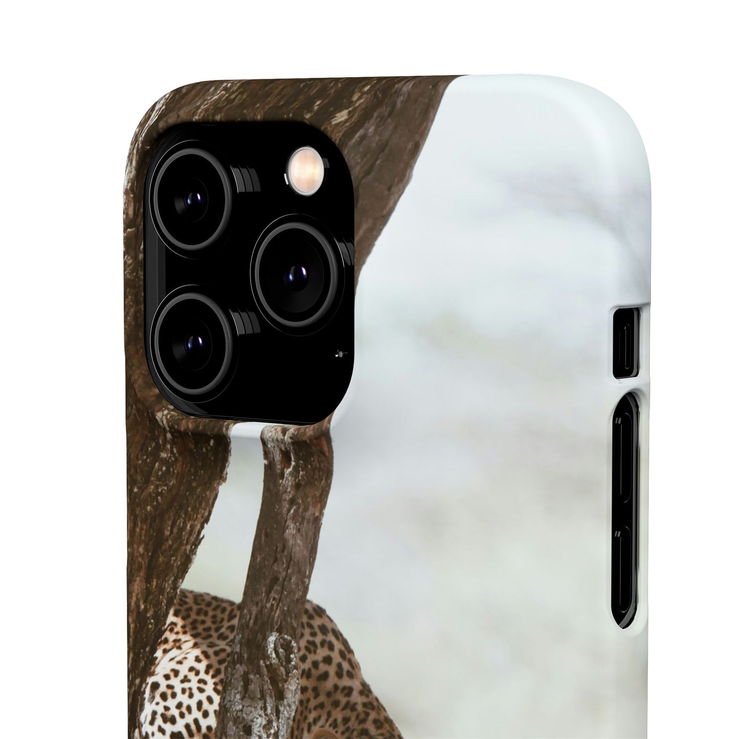 Leopard Cajasol - Wildlife Vibes
