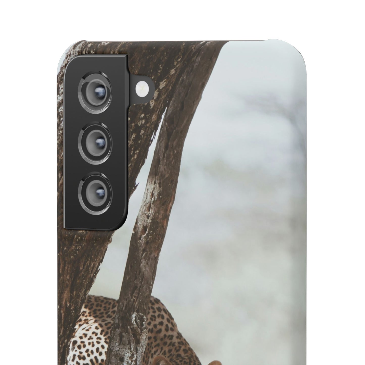 Leopard Cajasol - Wildlife Vibes