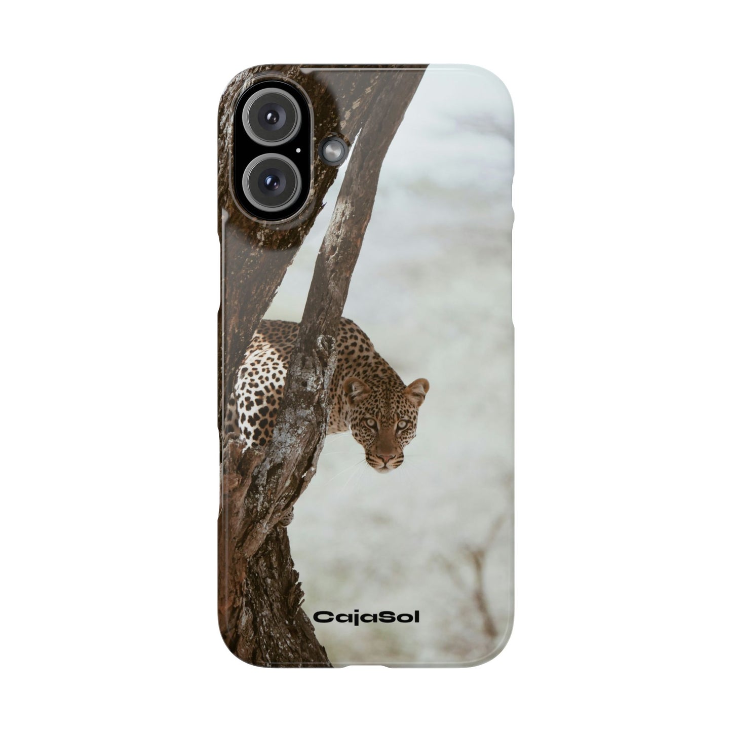 Leopard Cajasol - Wildlife Vibes