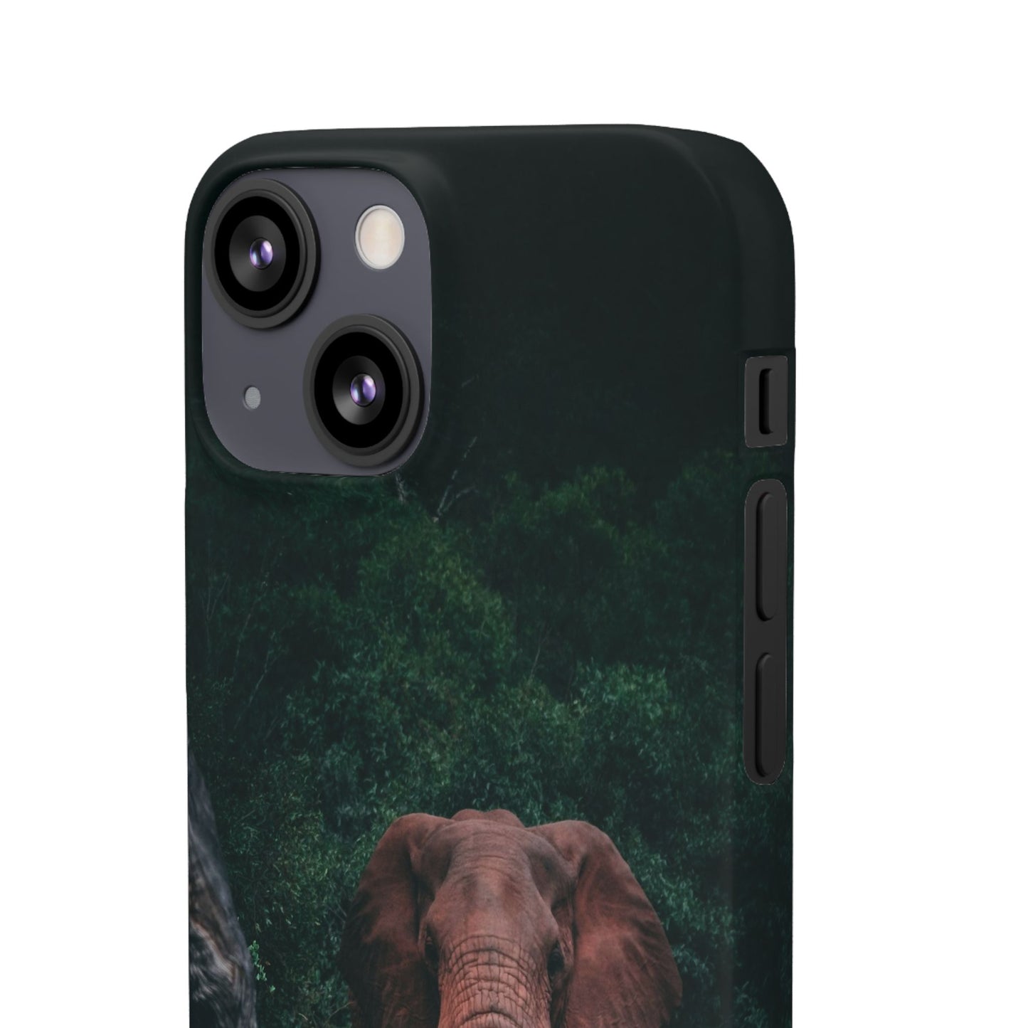 Wildlife Lover's Cajasol - Majestic Elephant