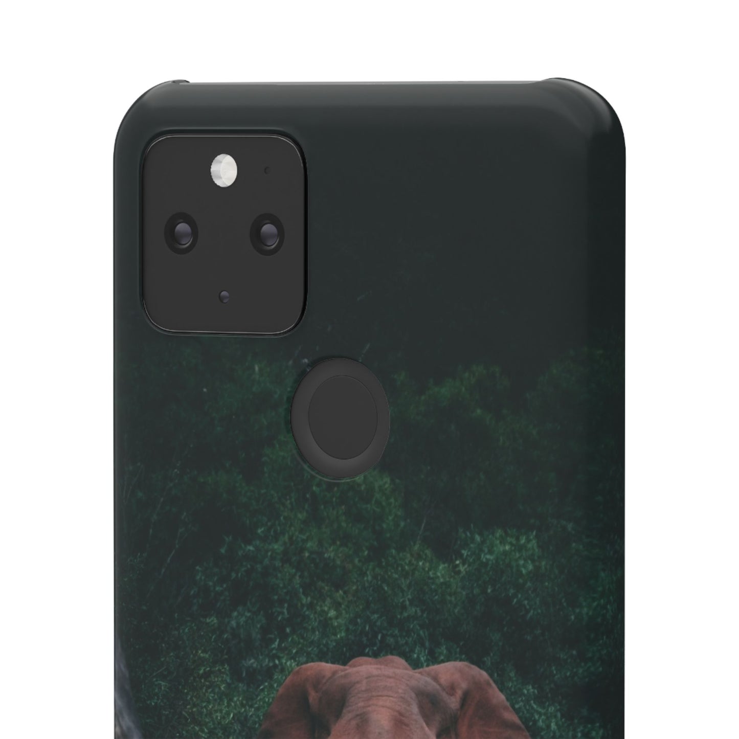 Wildlife Lover's Cajasol - Majestic Elephant