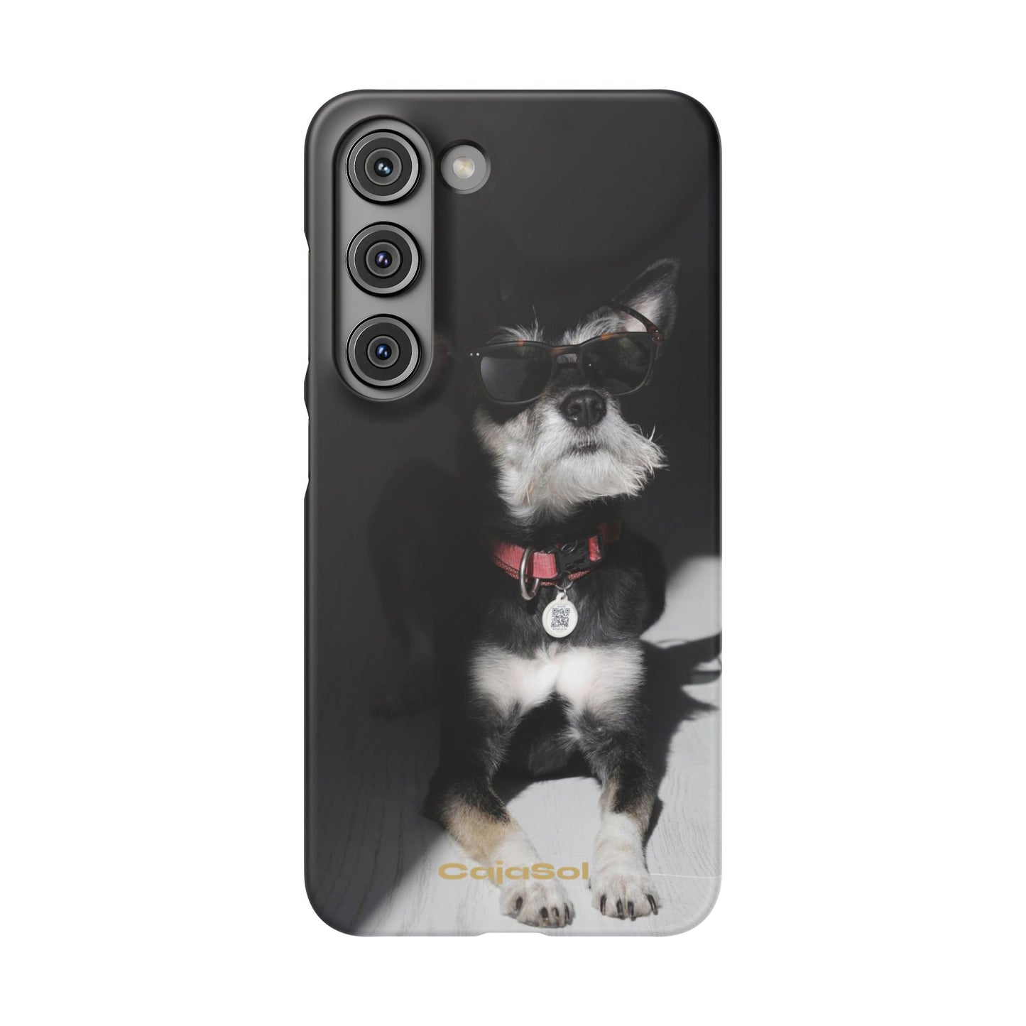 Cool Dog Cajasol - Stylish Pet