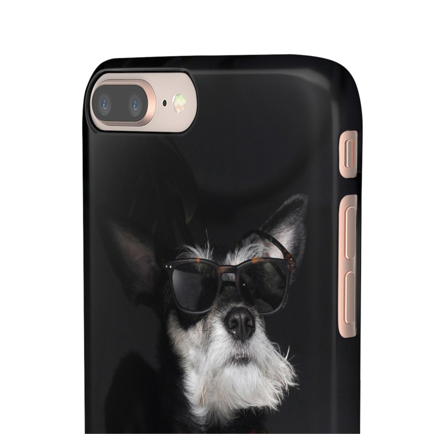 Cool Dog Cajasol - Stylish Pet