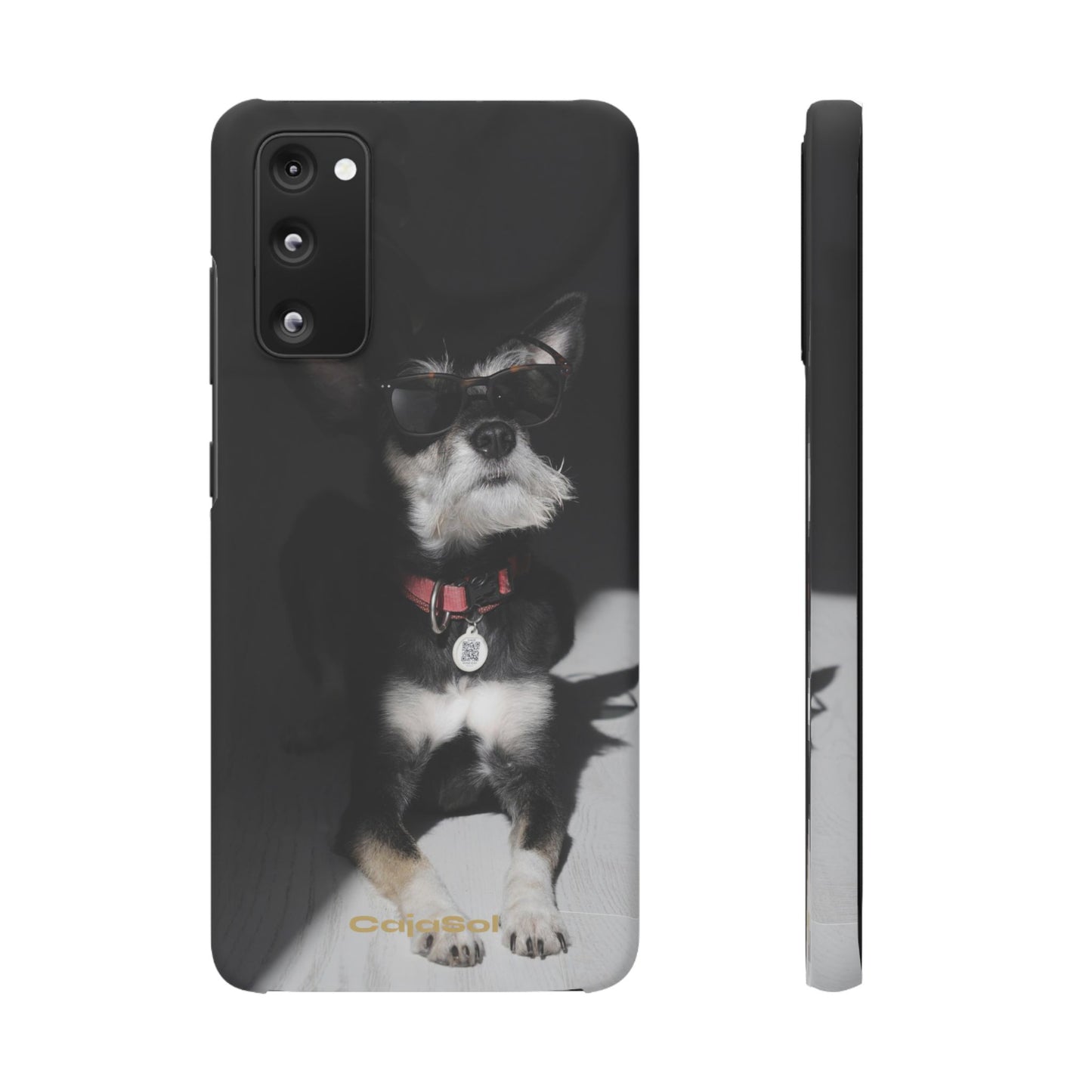 Cool Dog Cajasol - Stylish Pet
