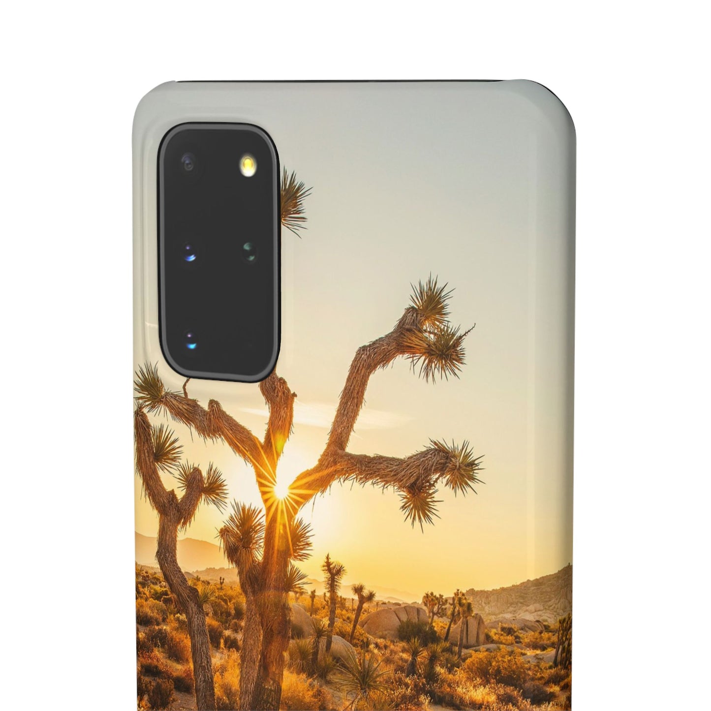 Desert Sunset Cajasol - Stylish Protection for Nature Lovers