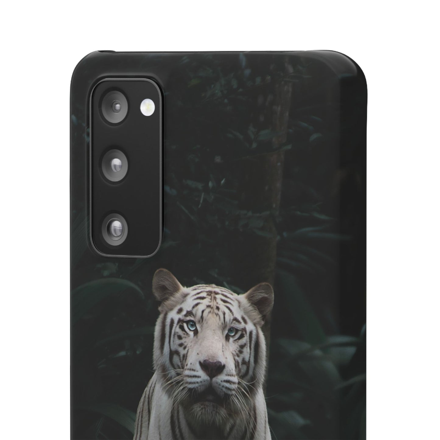 Majestic White Tiger Cajasol - Elegant & Protective for Wildlife Lovers