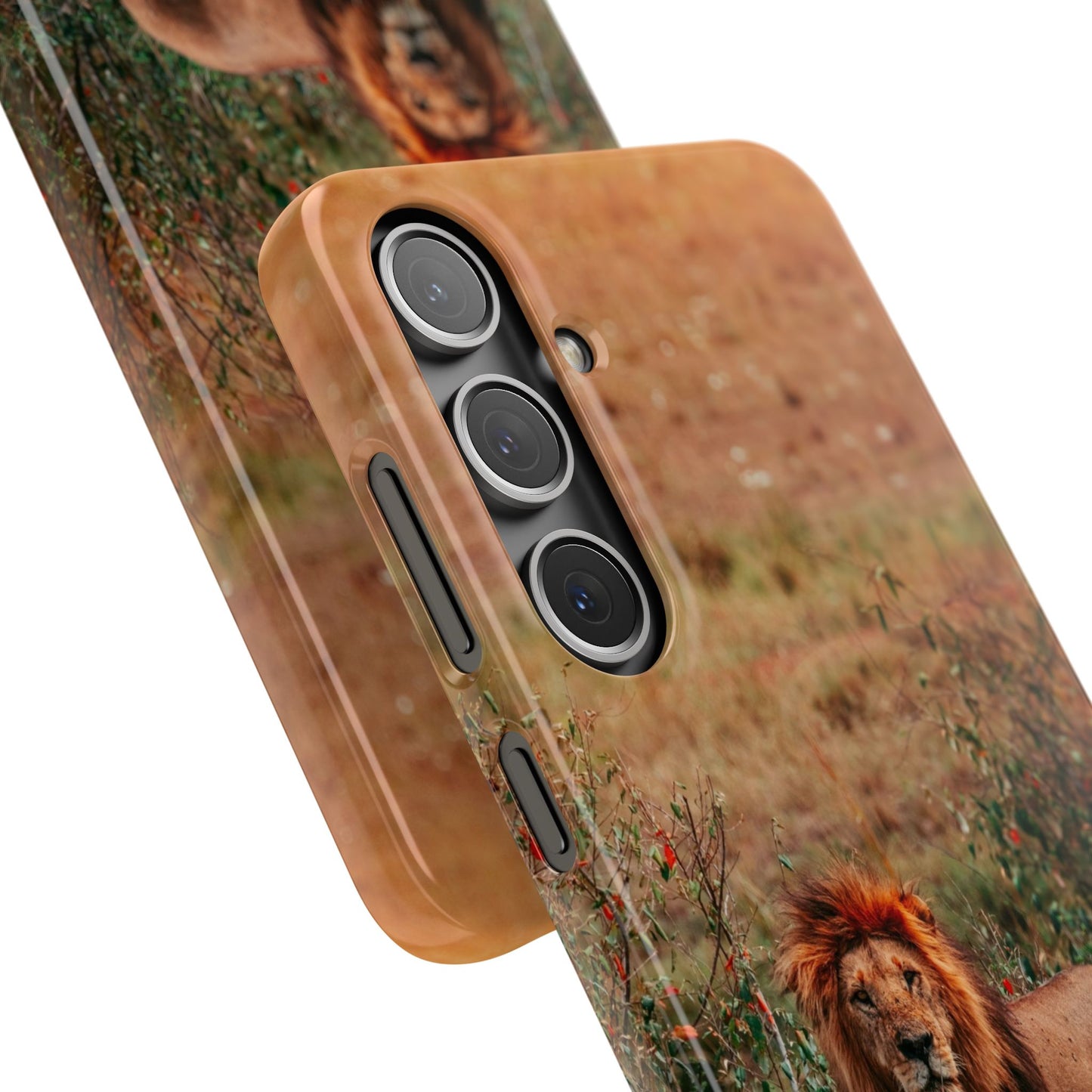 Majestic Lion Cajasol - Nature Inspired