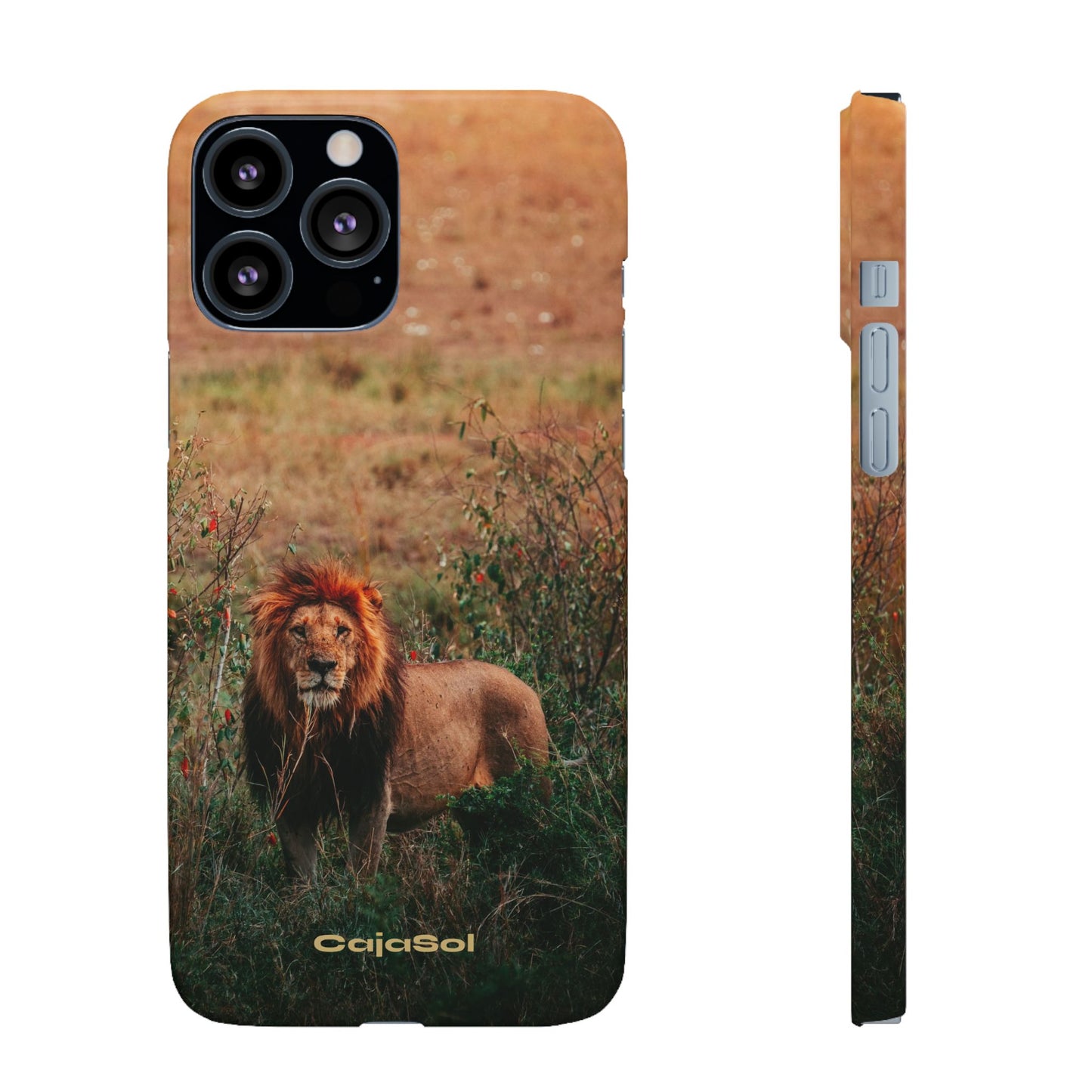 Majestic Lion Cajasol - Nature Inspired