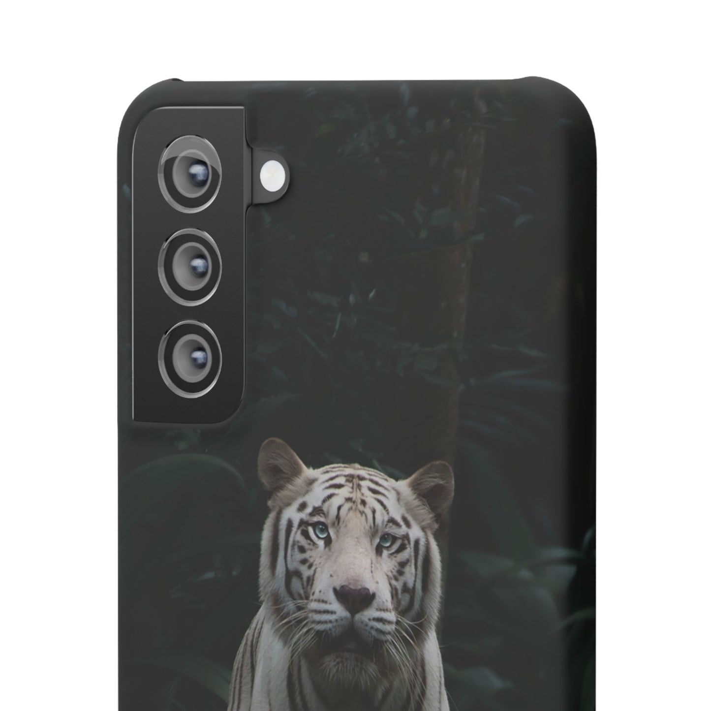Majestic White Tiger Cajasol - Elegant & Protective for Wildlife Lovers