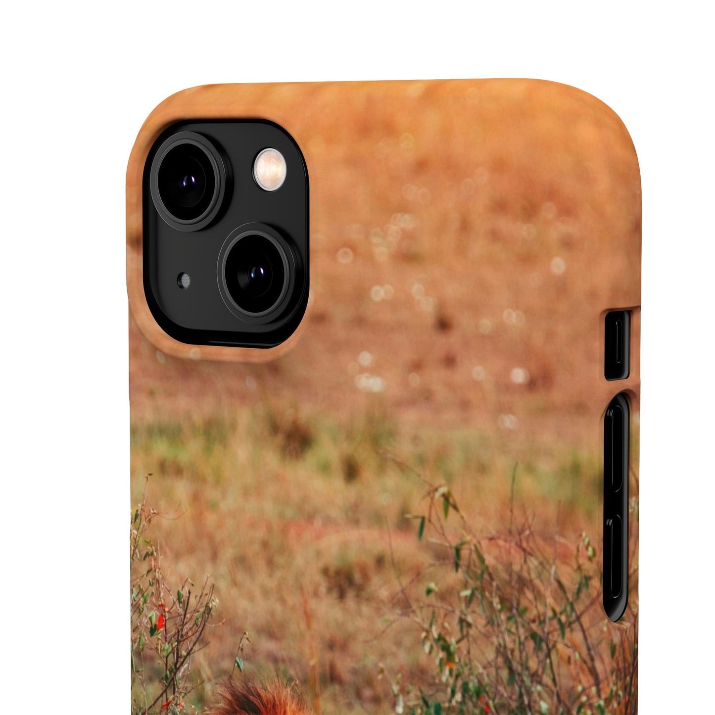 Majestic Lion Cajasol - Nature Inspired