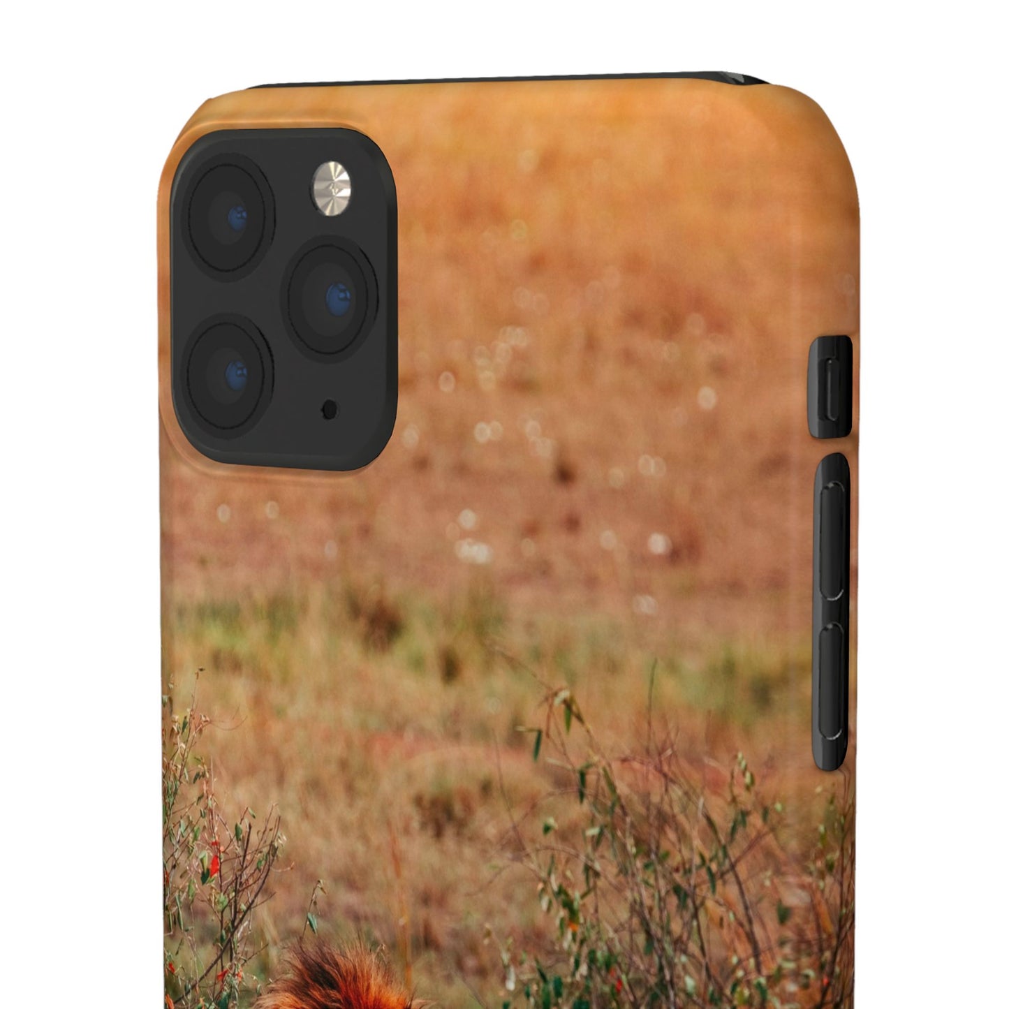 Majestic Lion Cajasol - Nature Inspired