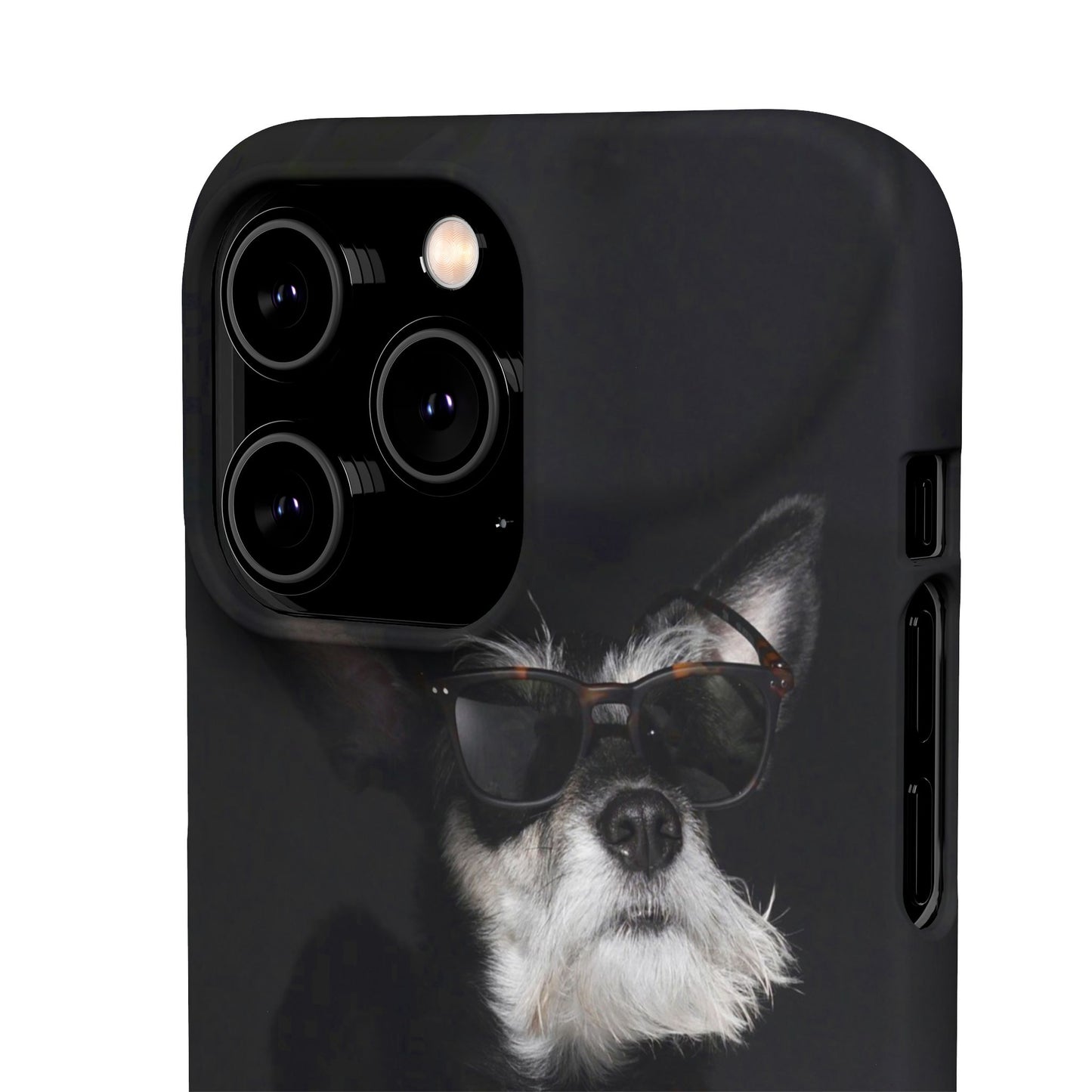 Cool Dog Cajasol - Stylish Pet