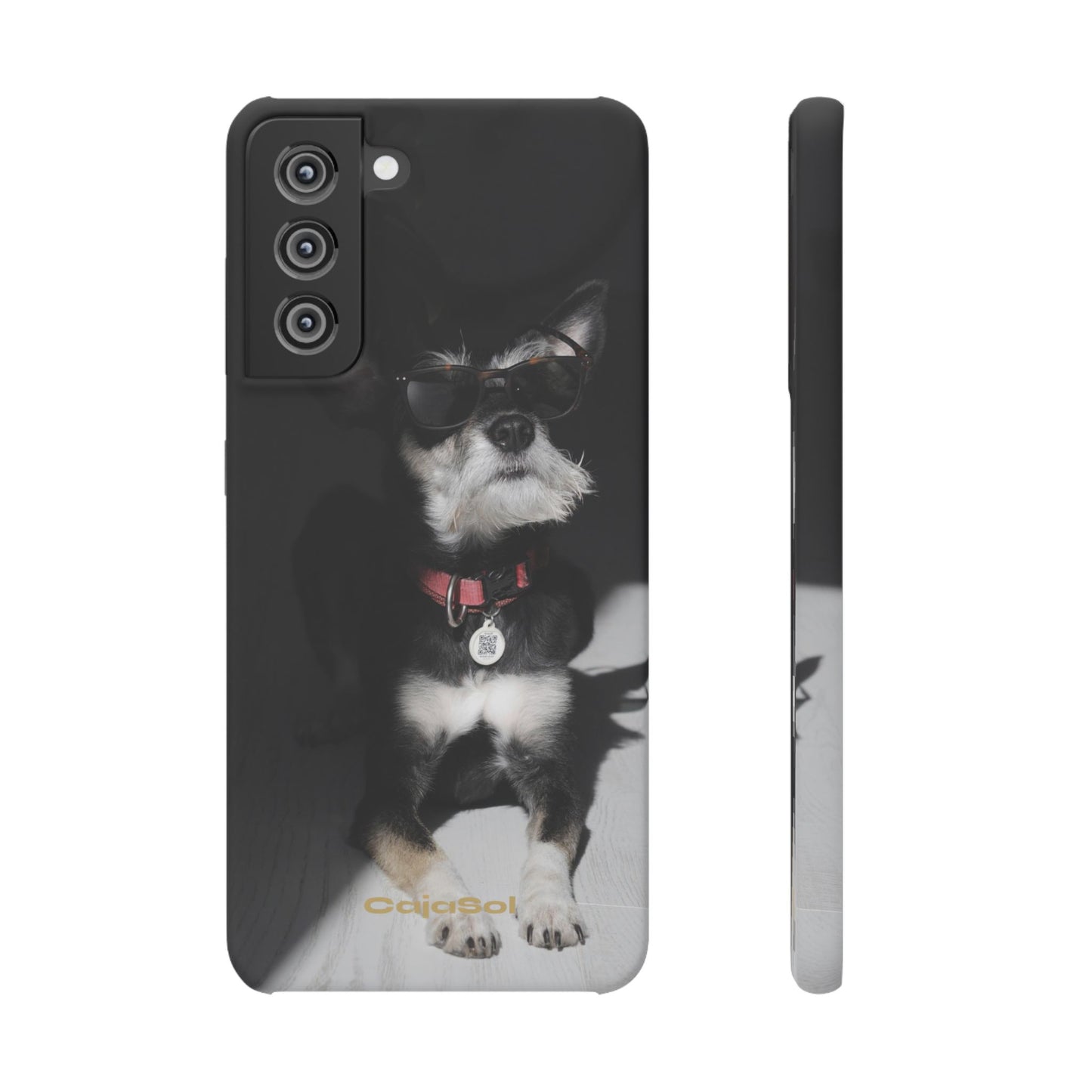Cool Dog Cajasol - Stylish Pet
