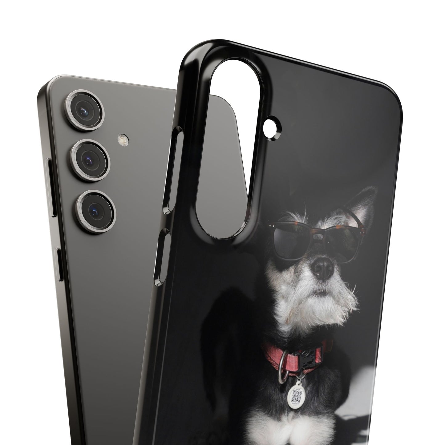 Cool Dog Cajasol - Stylish Pet