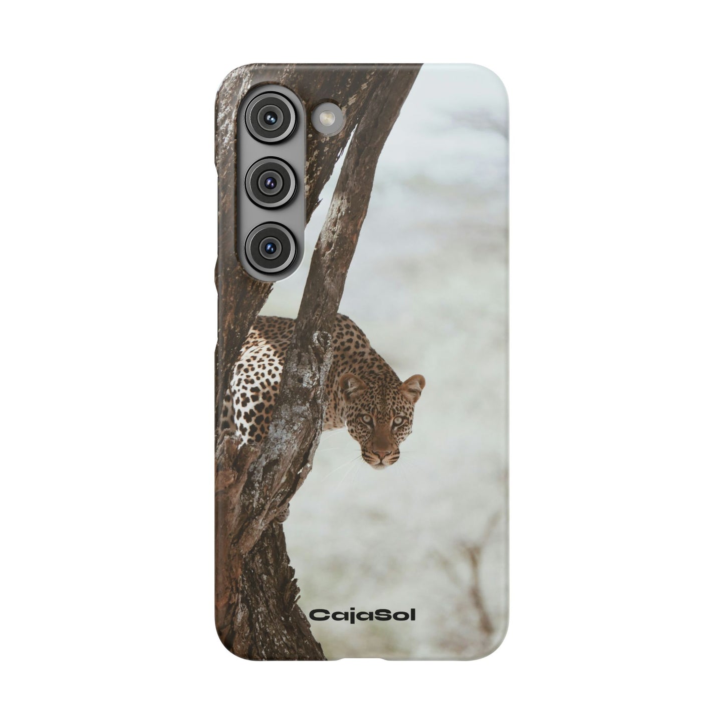 Leopard Cajasol - Wildlife Vibes