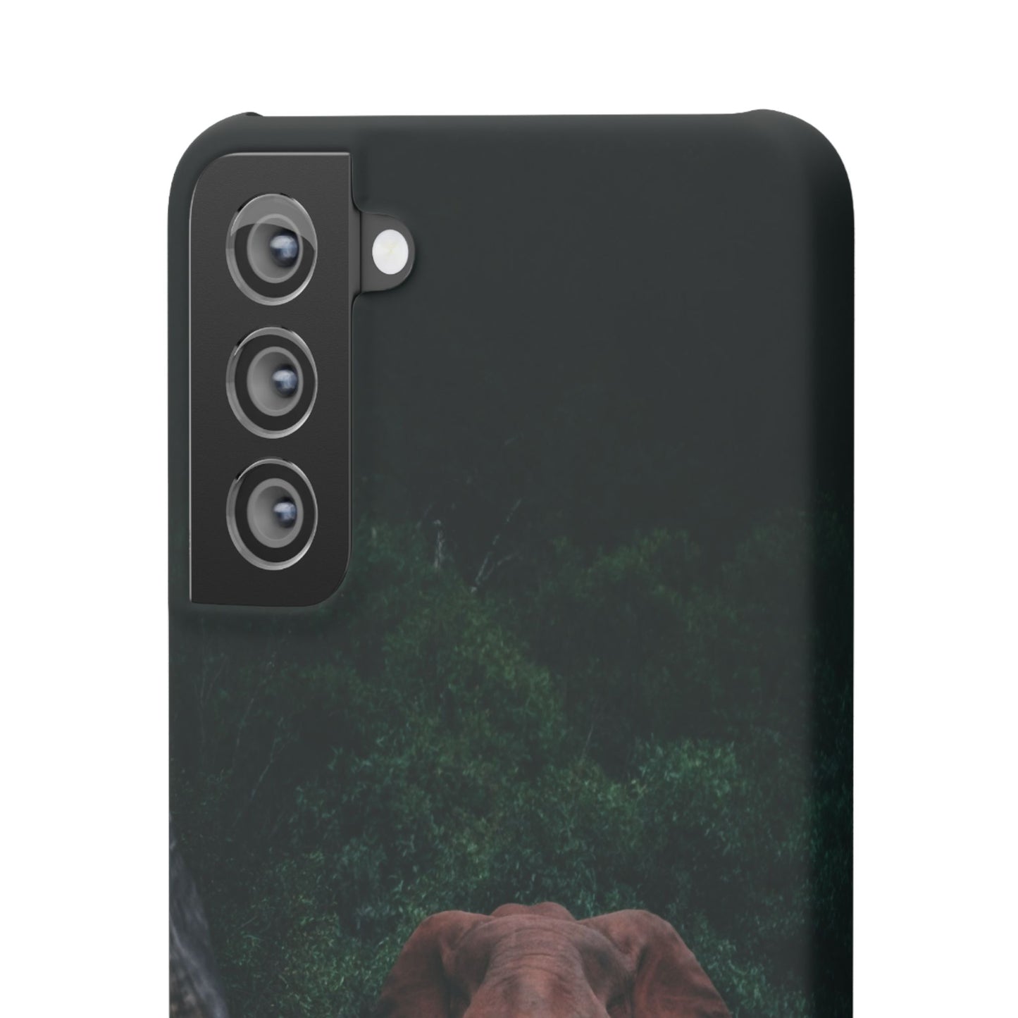 Wildlife Lover's Cajasol - Majestic Elephant