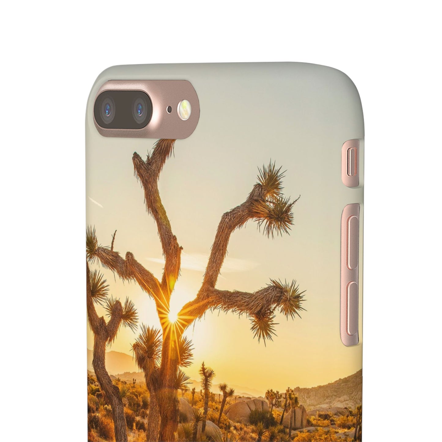 Desert Sunset Cajasol - Stylish Protection for Nature Lovers
