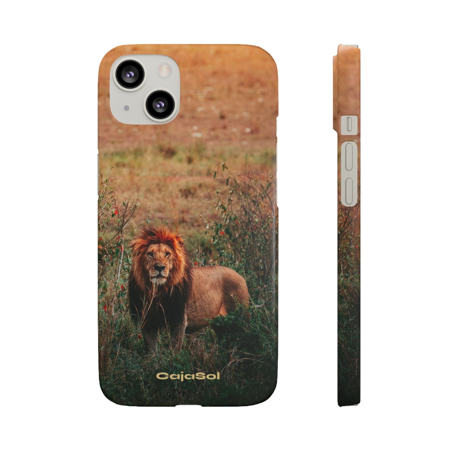 Majestic Lion Cajasol - Nature Inspired