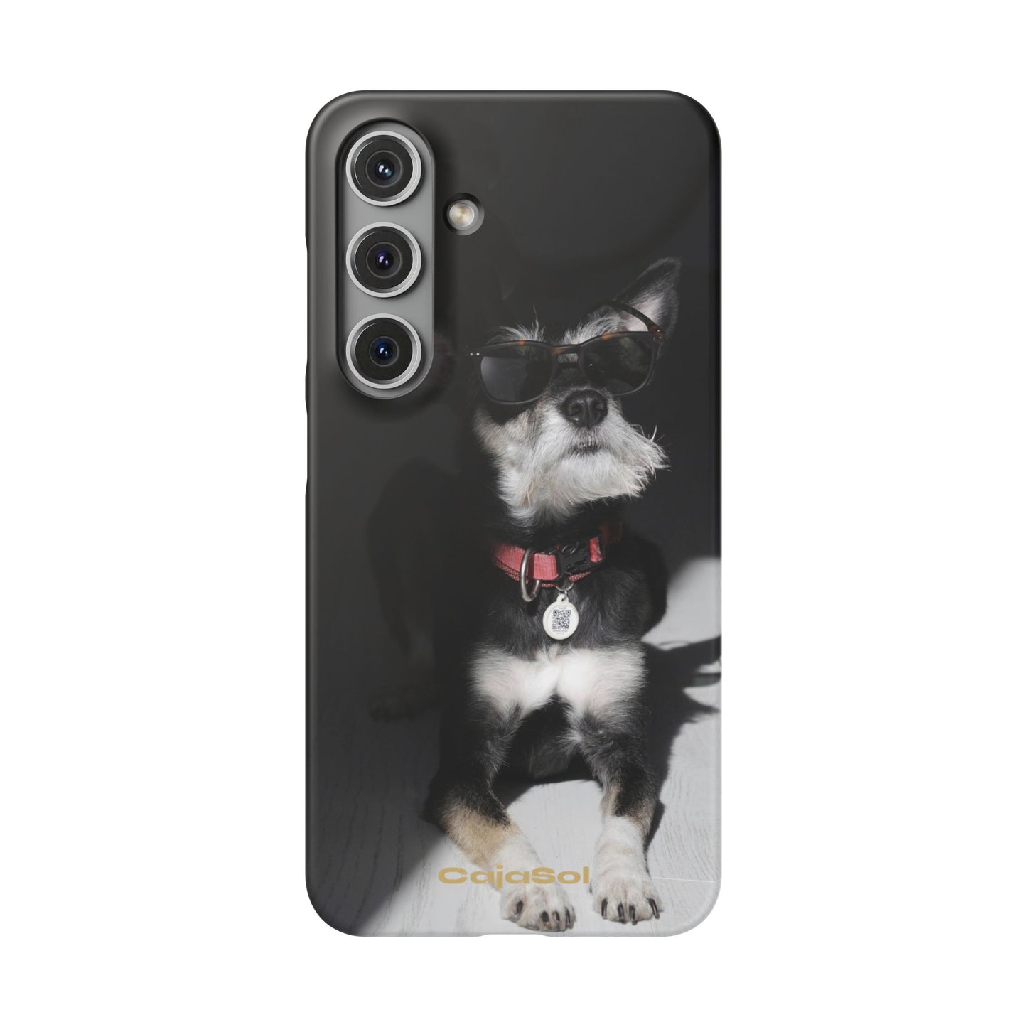 Cool Dog Cajasol - Stylish Pet