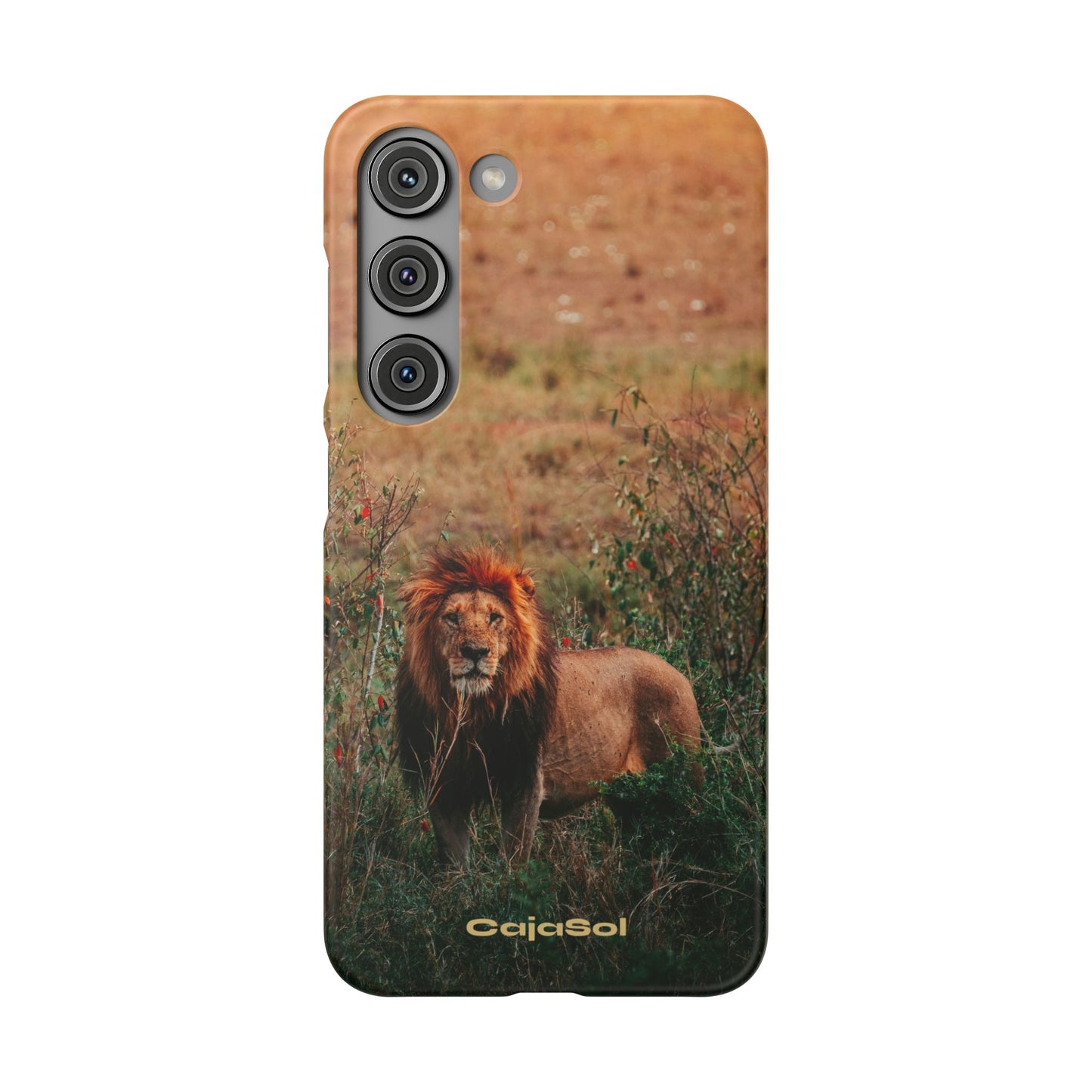 Majestic Lion Cajasol - Nature Inspired