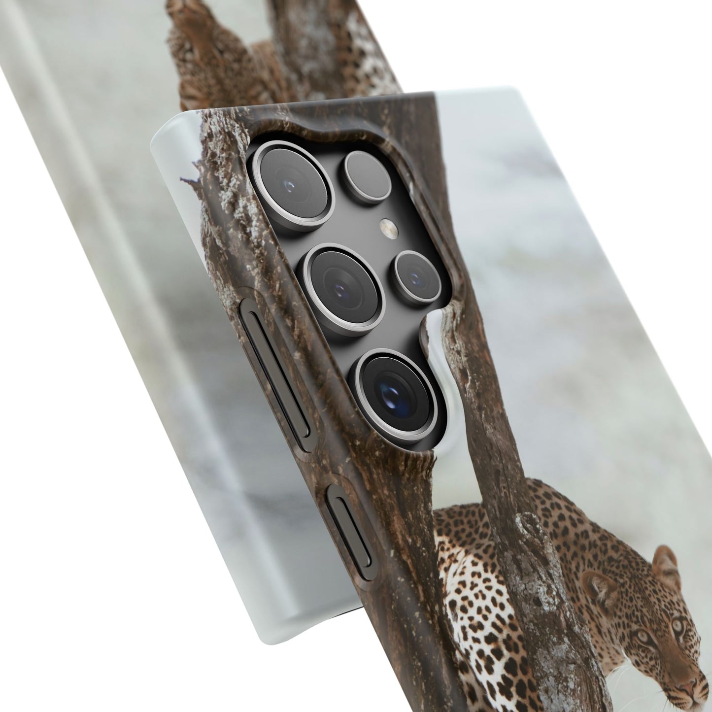 Leopard Cajasol - Wildlife Vibes