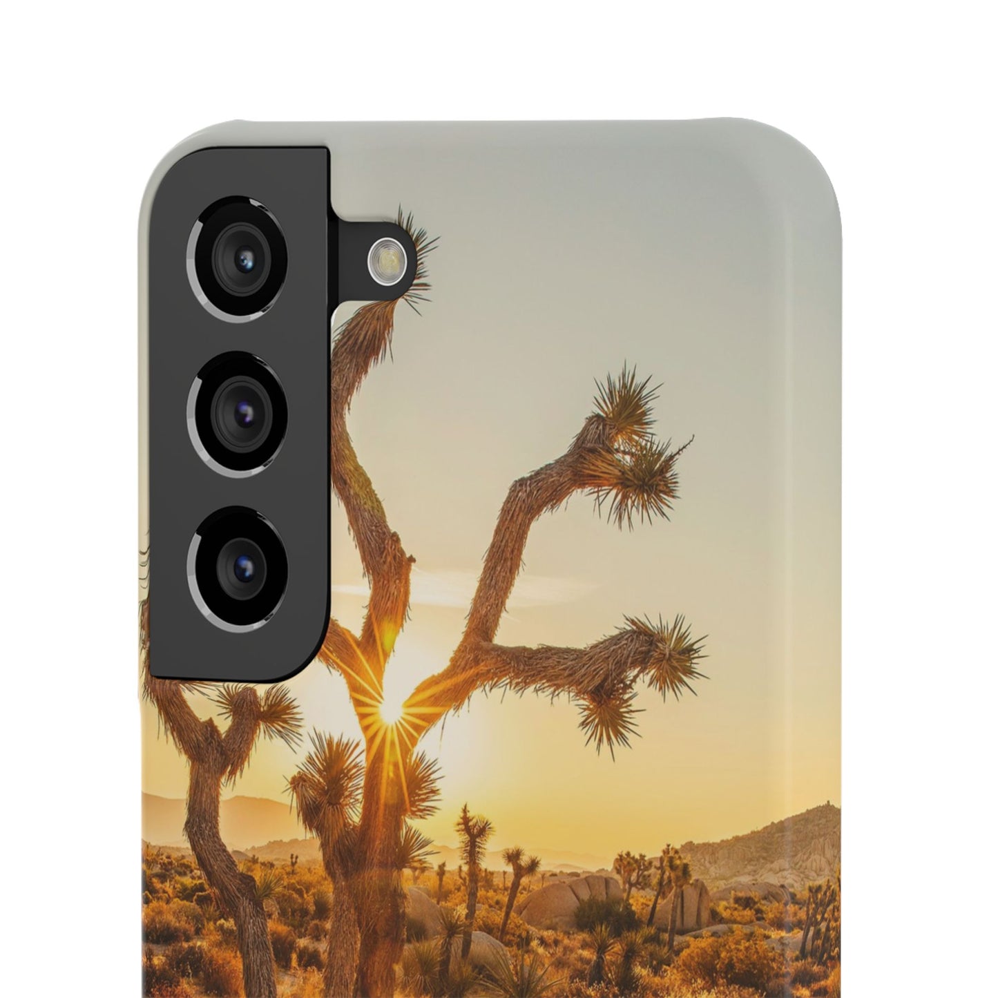 Desert Sunset Cajasol - Stylish Protection for Nature Lovers