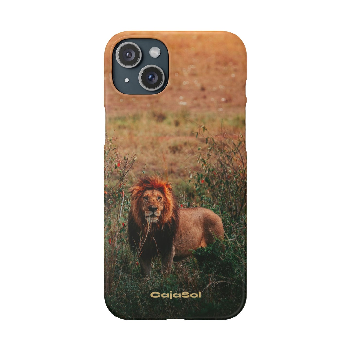Majestic Lion Cajasol - Nature Inspired