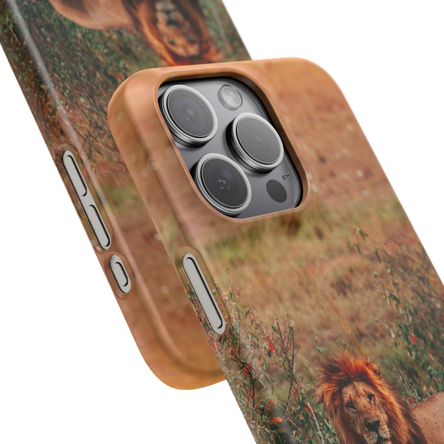 Majestic Lion Cajasol - Nature Inspired