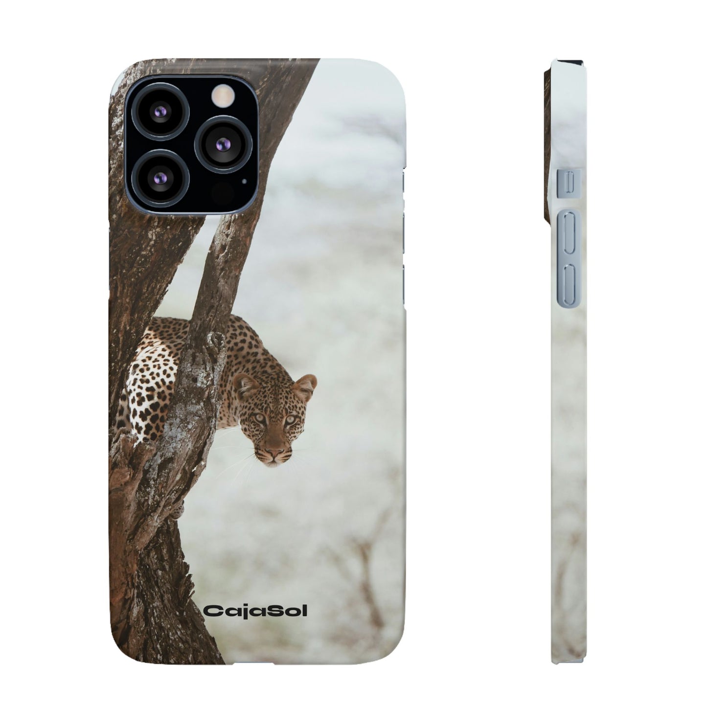 Leopard Cajasol - Wildlife Vibes