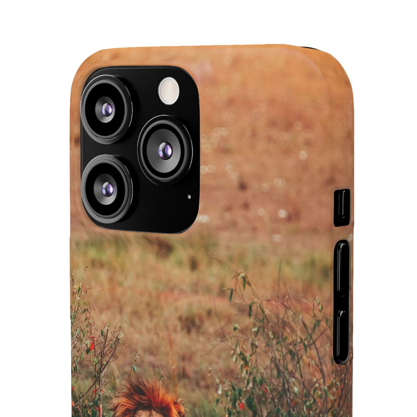 Majestic Lion Cajasol - Nature Inspired