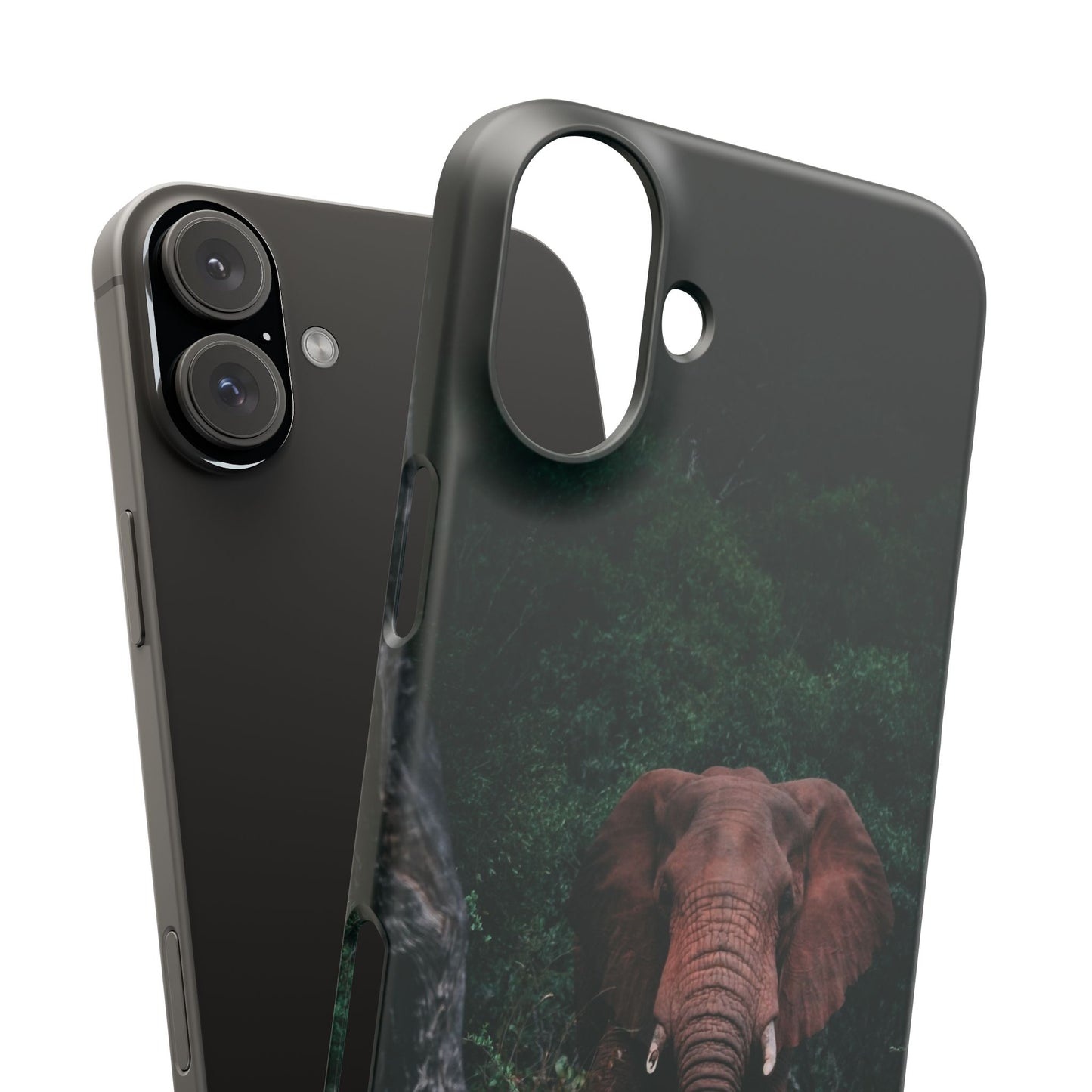Wildlife Lover's Cajasol - Majestic Elephant