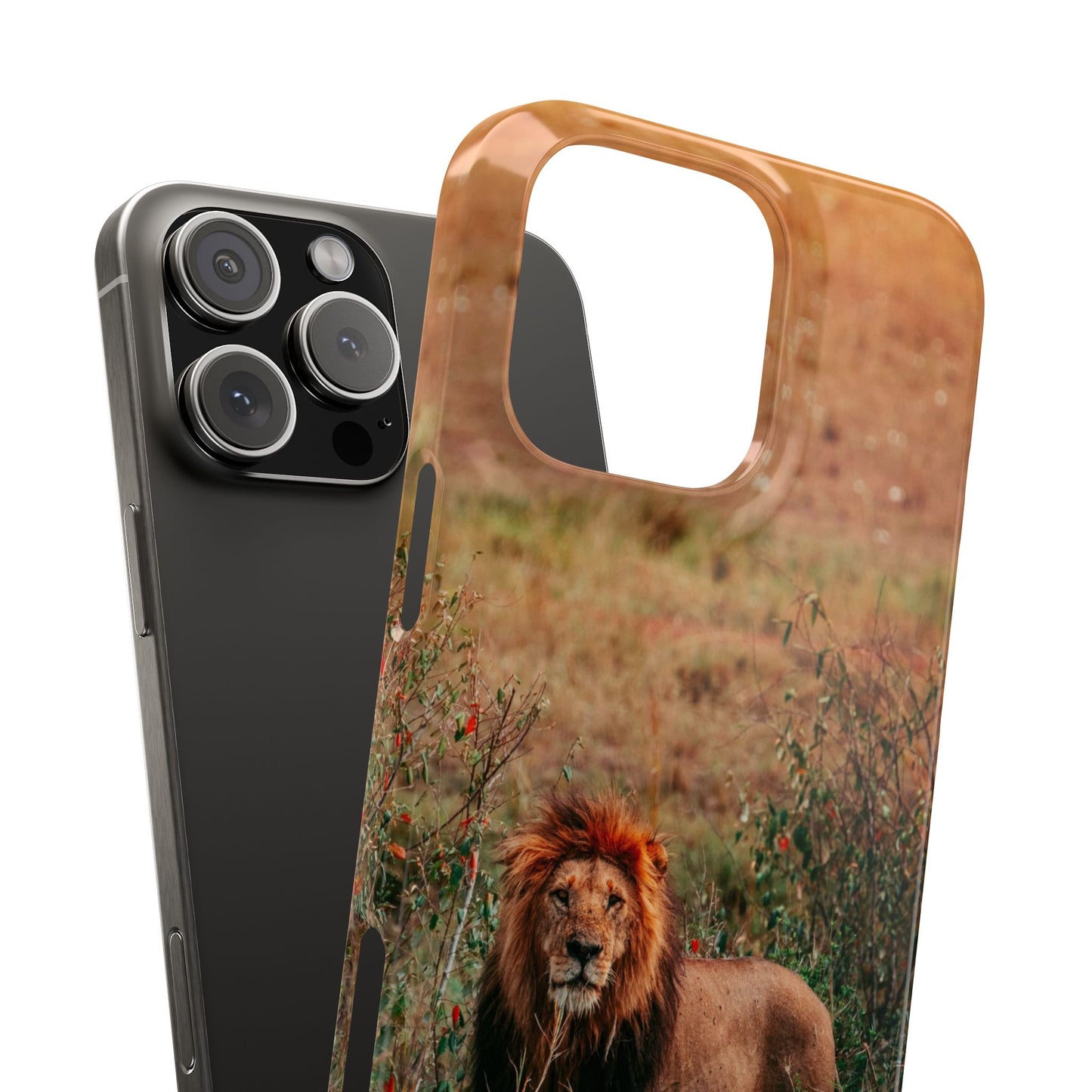 Majestic Lion Cajasol - Nature Inspired
