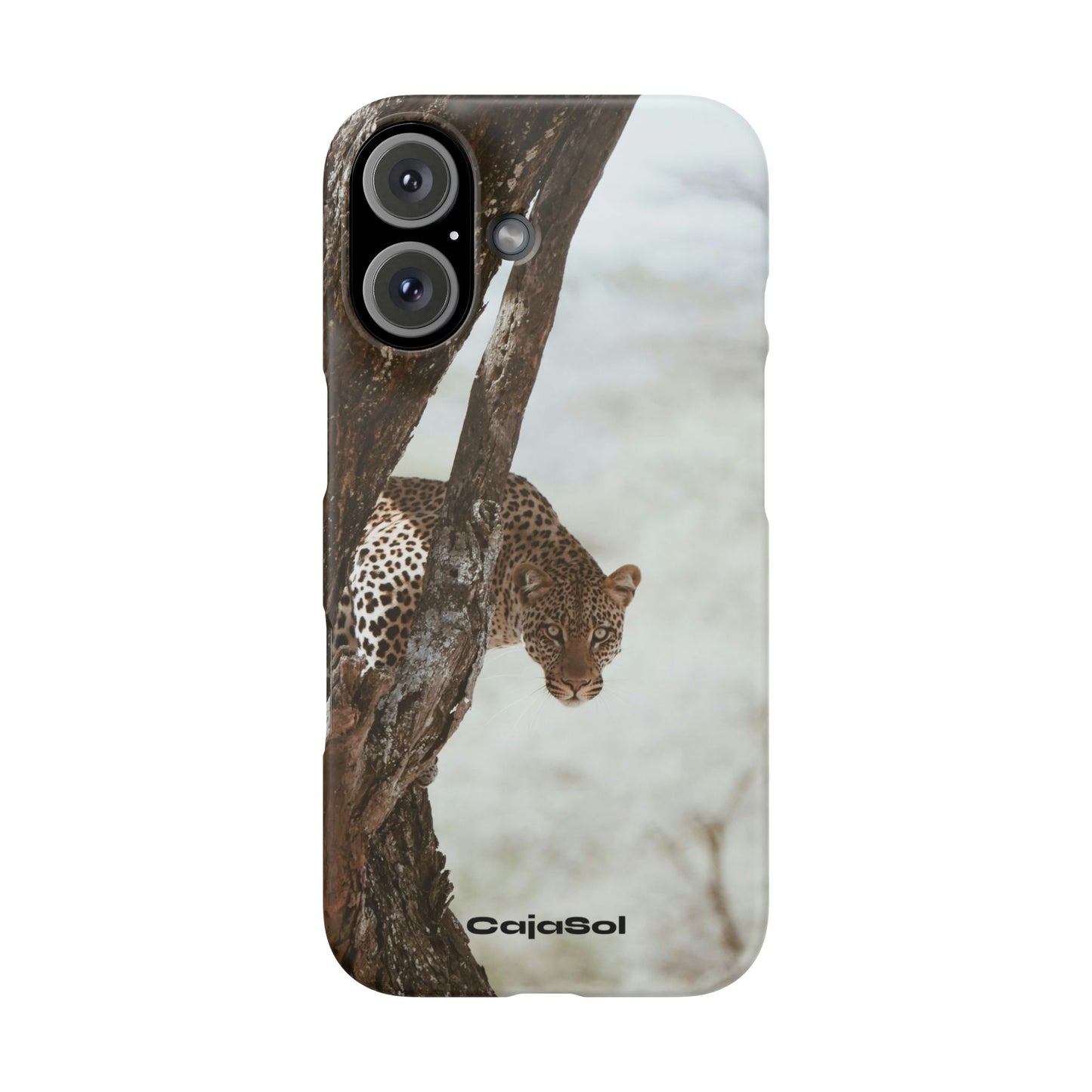 Leopard Cajasol - Wildlife Vibes