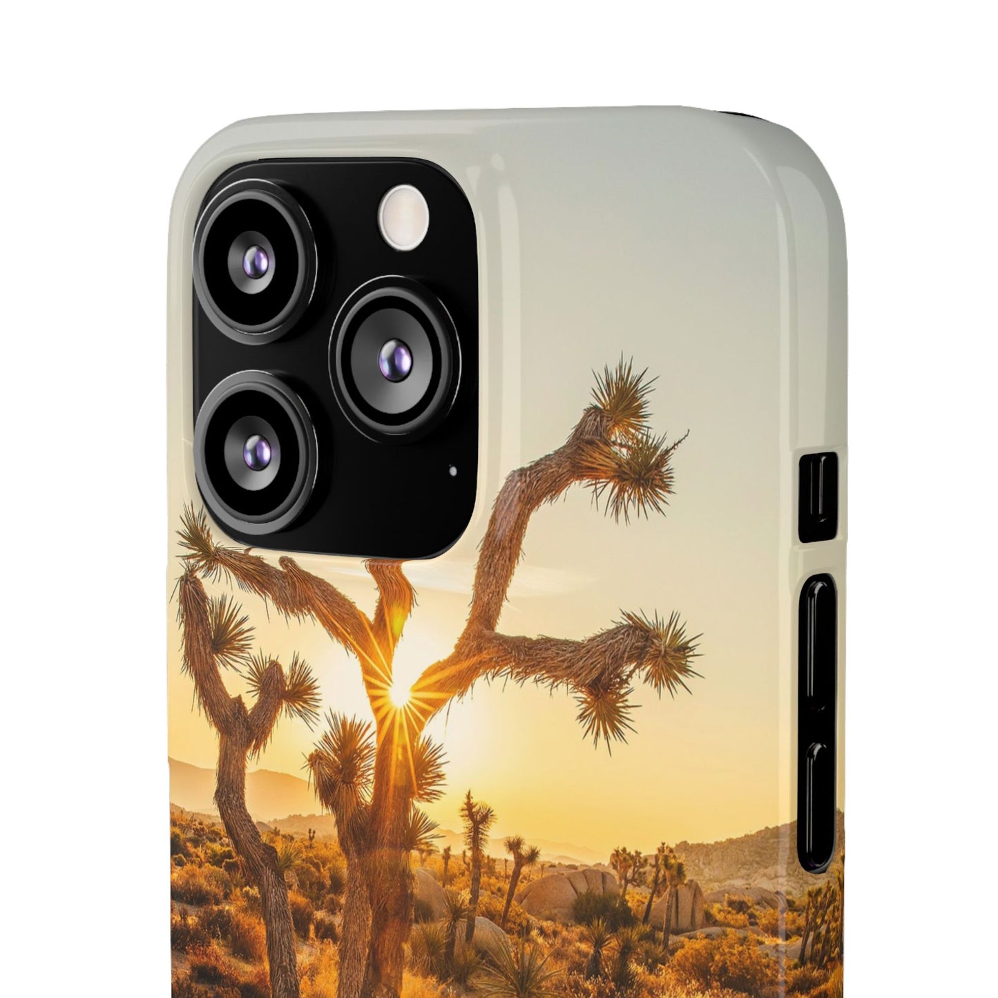 Desert Sunset Cajasol - Stylish Protection for Nature Lovers