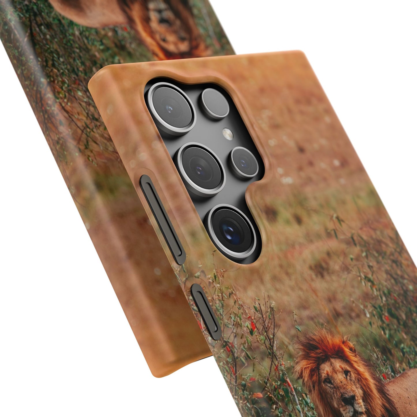 Majestic Lion Cajasol - Nature Inspired