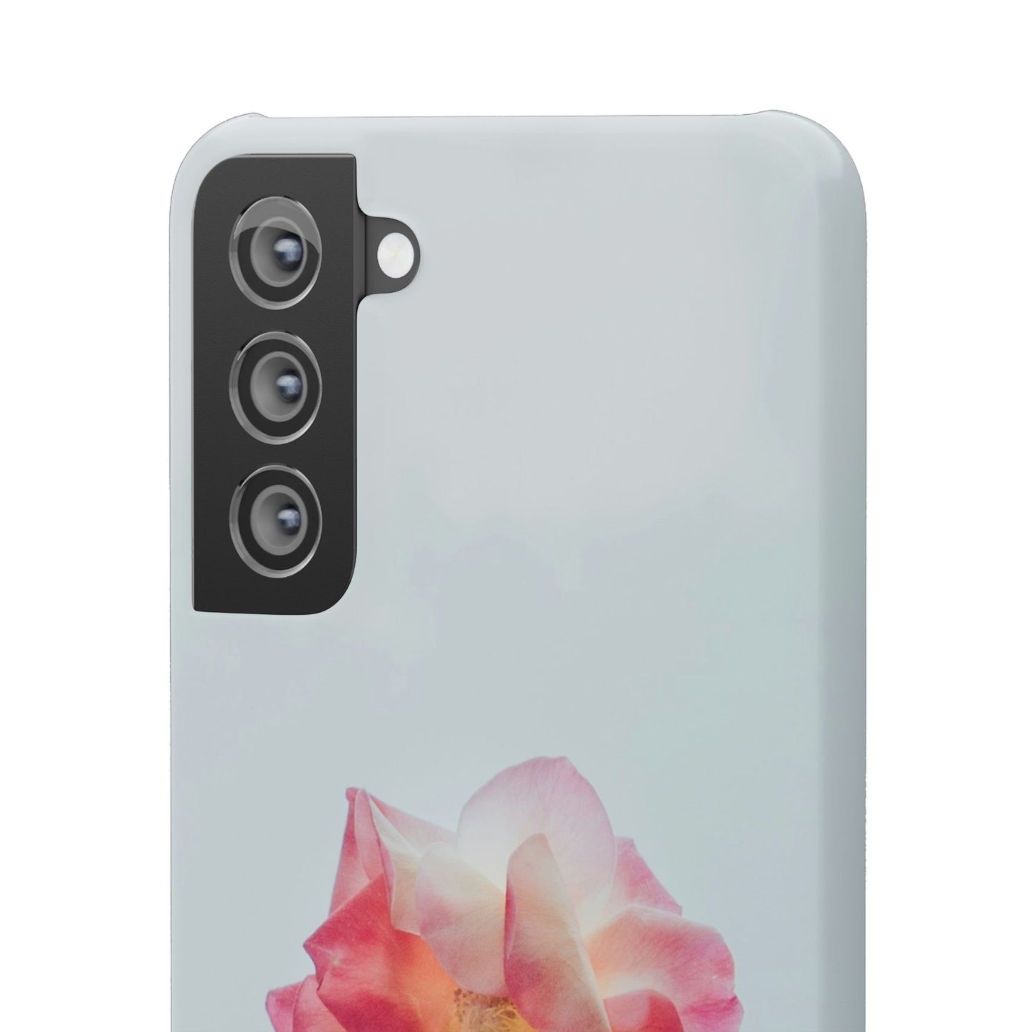 Floral Cajasol - Elegant Pink Flower