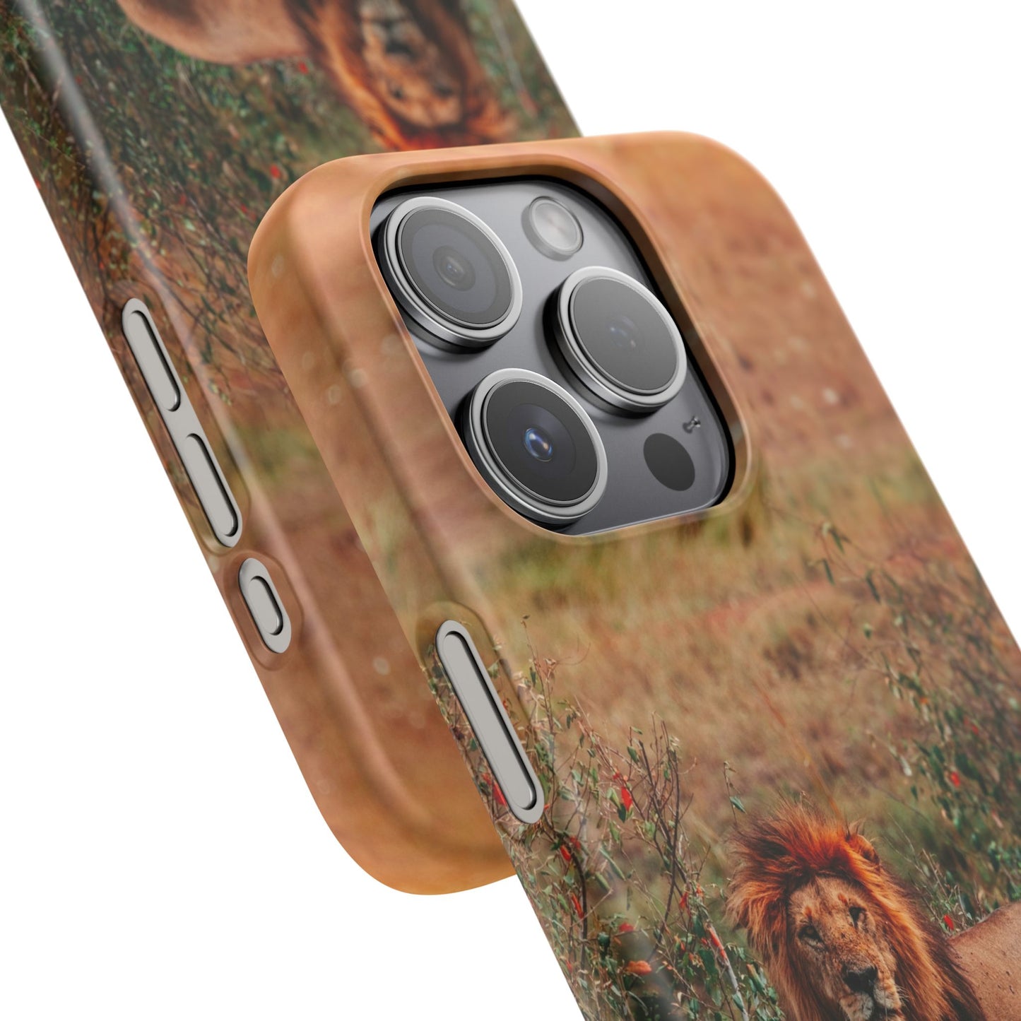 Majestic Lion Cajasol - Nature Inspired