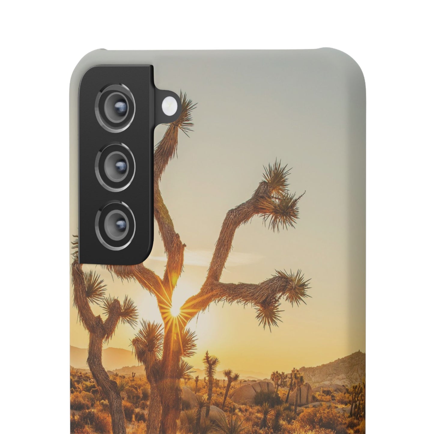Desert Sunset Cajasol - Stylish Protection for Nature Lovers