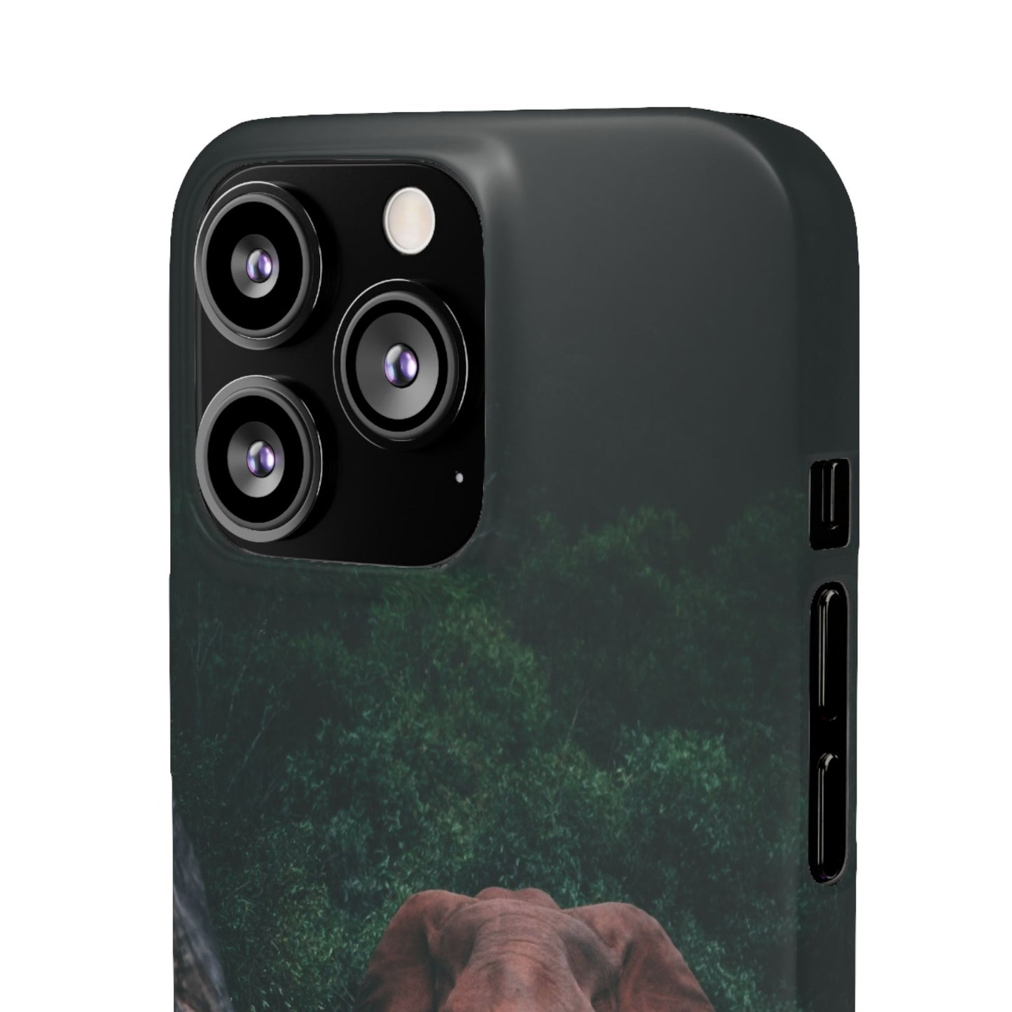 Wildlife Lover's Cajasol - Majestic Elephant