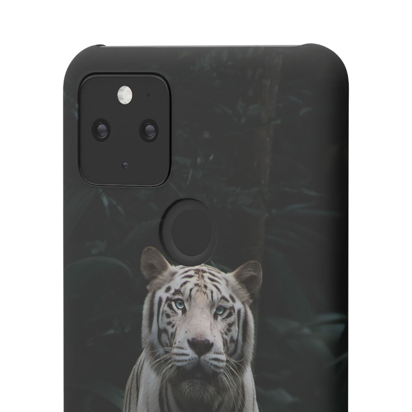 Majestic White Tiger Cajasol - Elegant & Protective for Wildlife Lovers