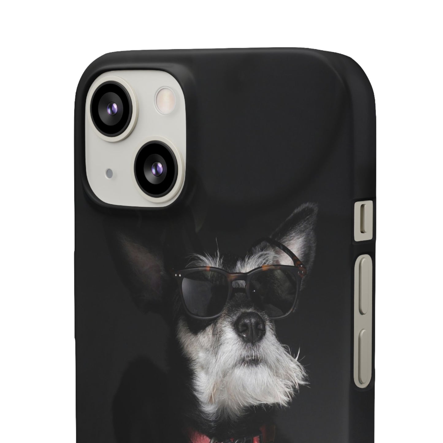Cool Dog Cajasol - Stylish Pet