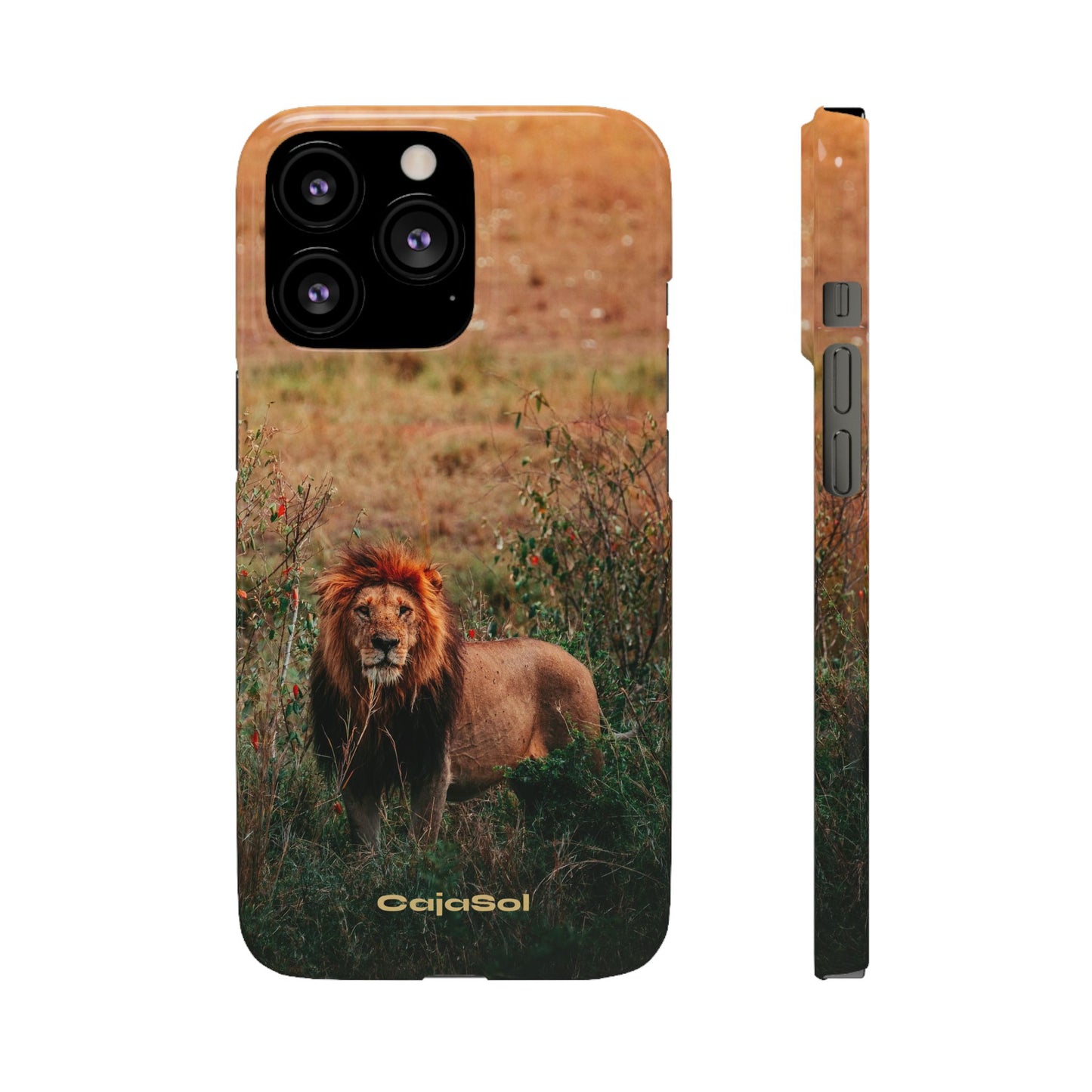 Majestic Lion Cajasol - Nature Inspired