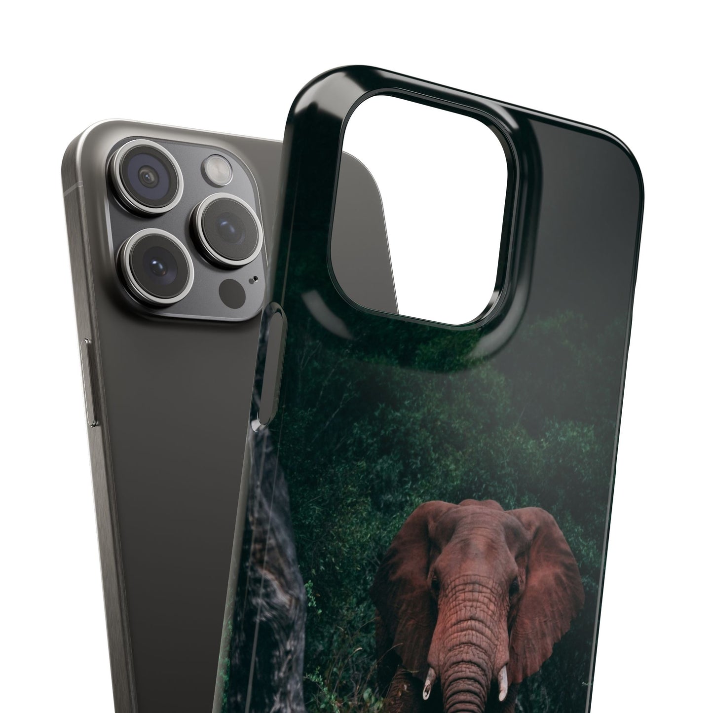 Wildlife Lover's Cajasol - Majestic Elephant