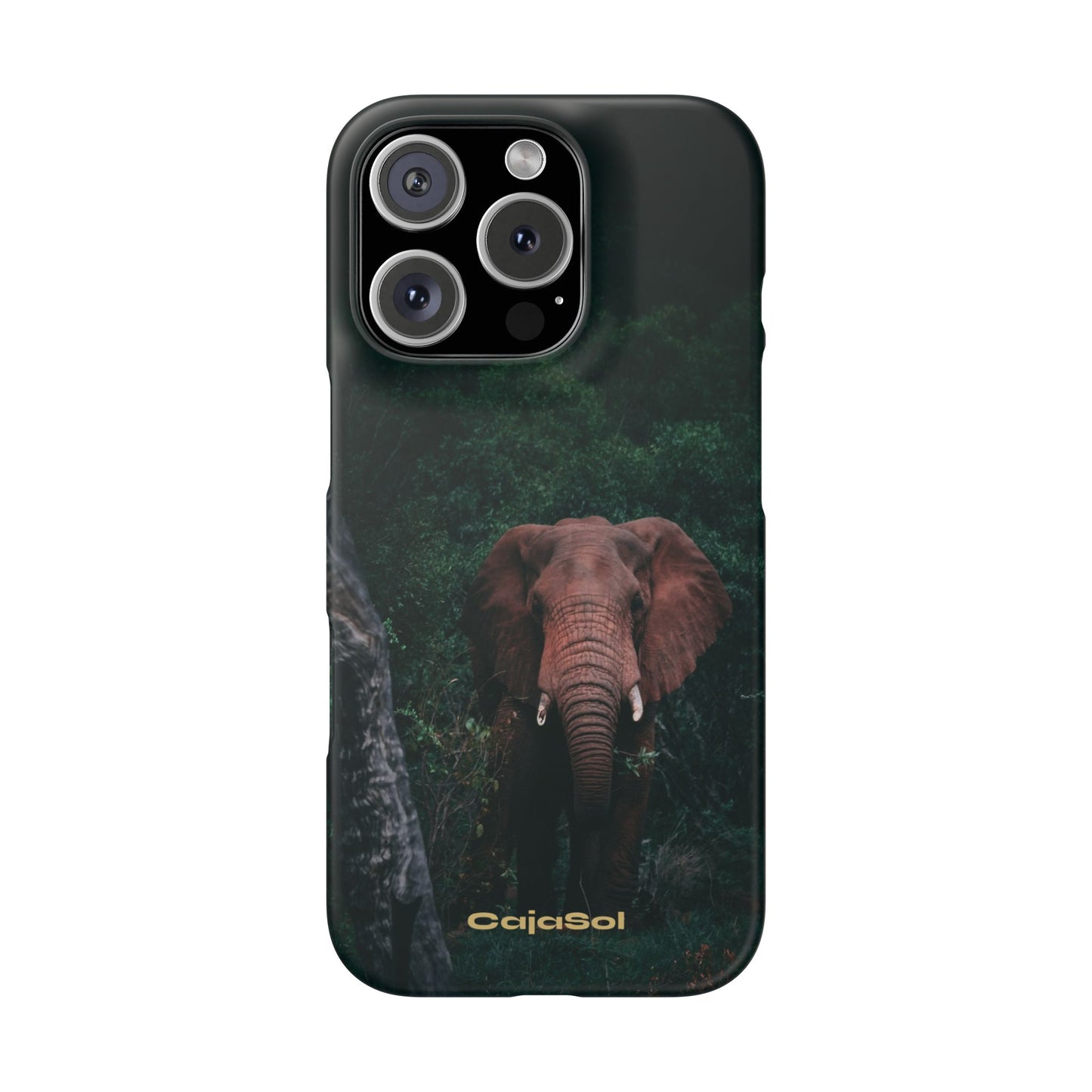 Wildlife Lover's Cajasol - Majestic Elephant