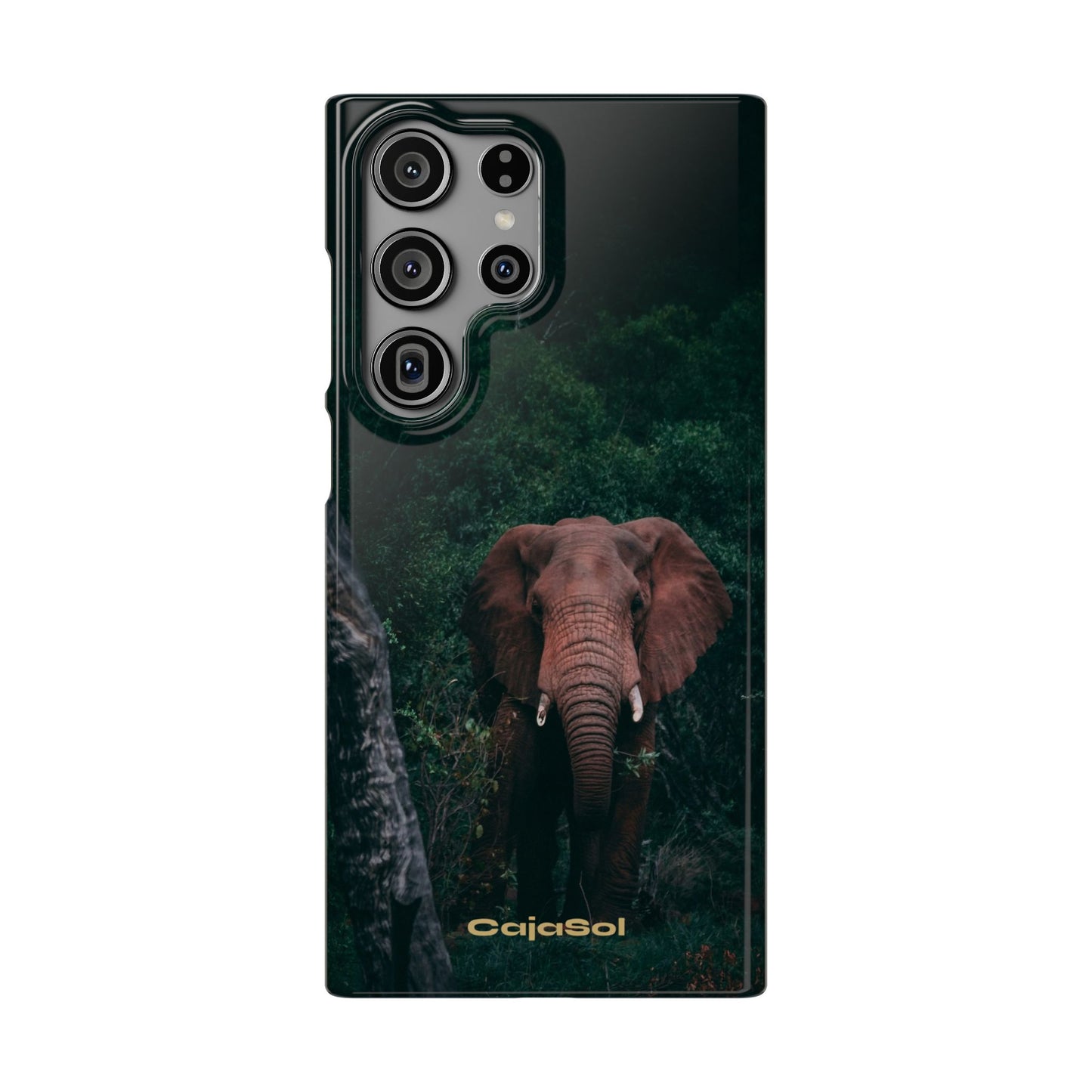 Wildlife Lover's Cajasol - Majestic Elephant