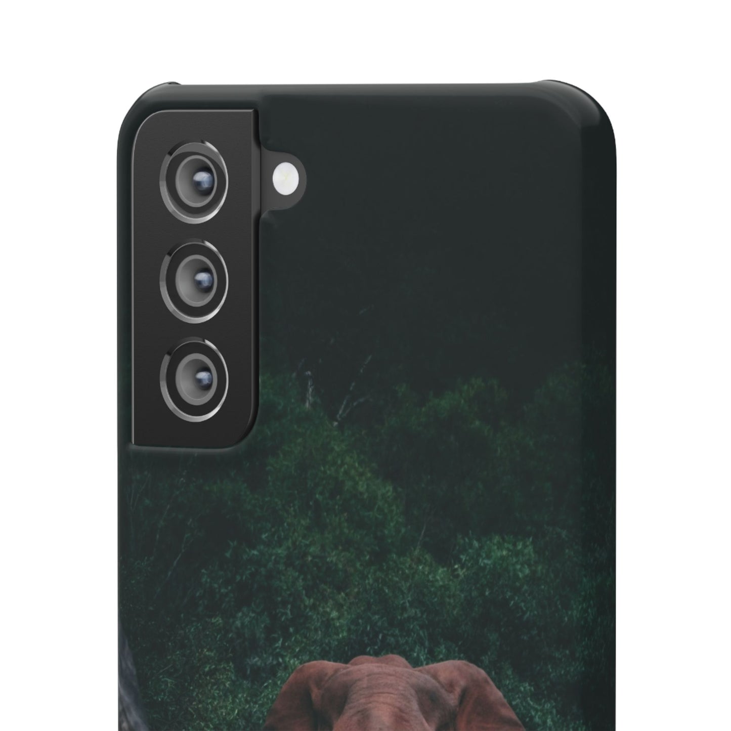 Wildlife Lover's Cajasol - Majestic Elephant